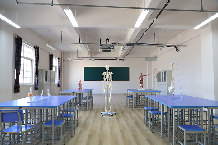 香港宝典免费资料