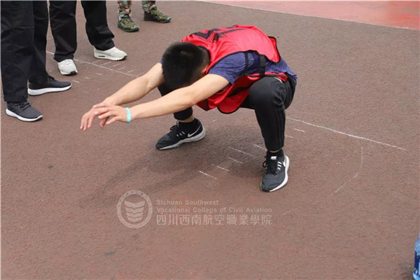 香港宝典免费资料