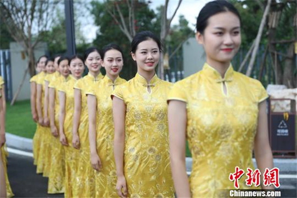 香港宝典免费资料