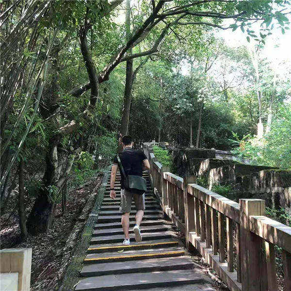 香港宝典免费资料
