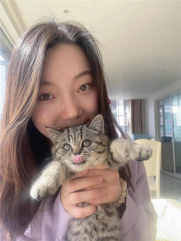 香港宝典免费资料