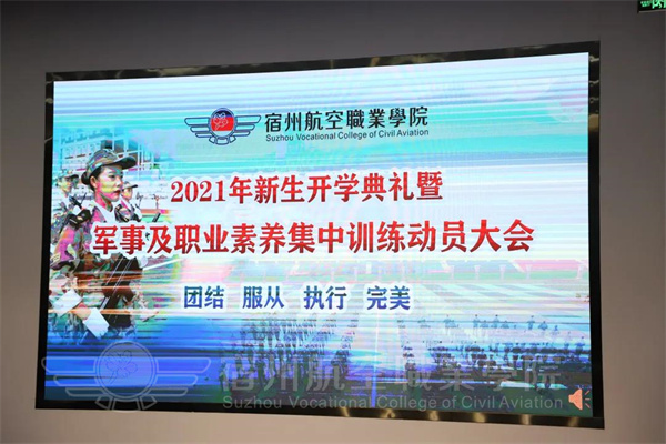 香港宝典免费资料