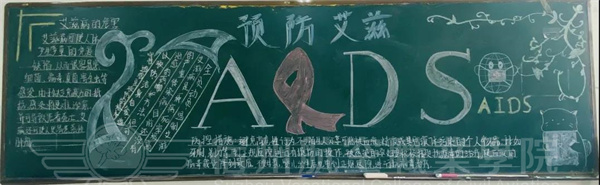 香港宝典免费资料