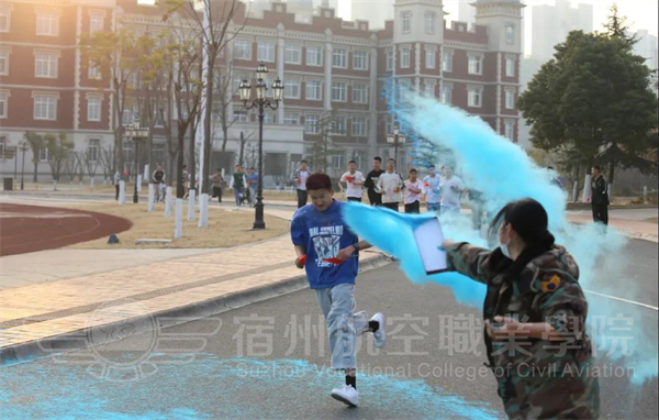 香港宝典免费资料