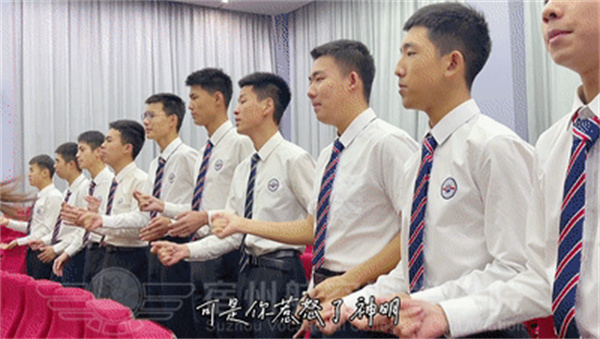 香港宝典免费资料
