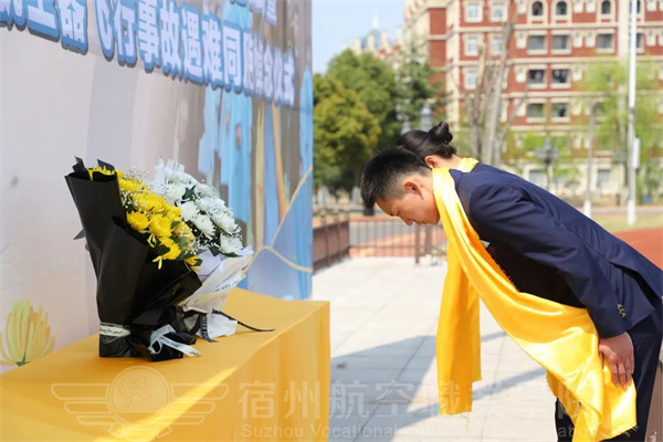 香港宝典免费资料
