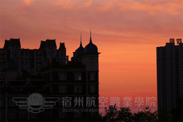 香港宝典免费资料