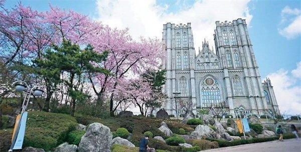 香港宝典免费资料