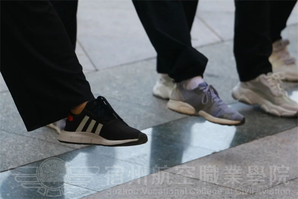 香港宝典免费资料