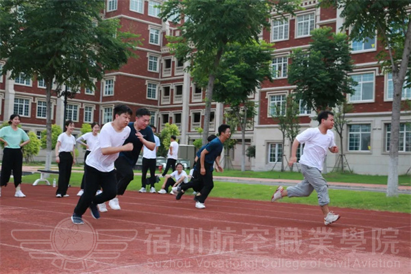 香港宝典免费资料