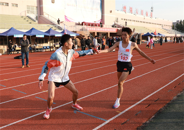 香港宝典免费资料