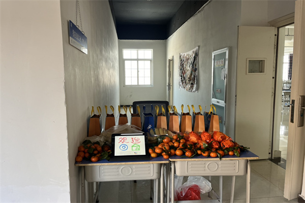 香港宝典免费资料