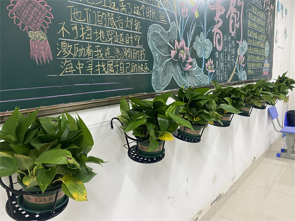 香港宝典免费资料