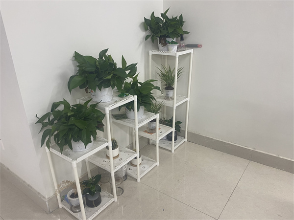 香港宝典免费资料